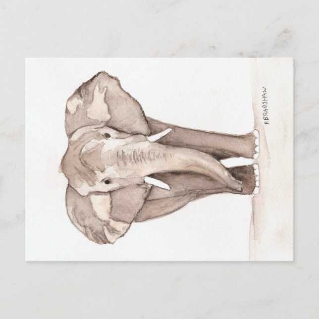 tarjeta postal de elefante (Anverso)