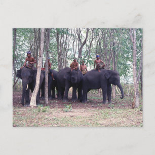Tarjeta postal de elefante asiático