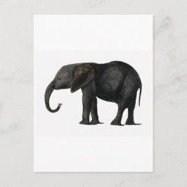TARJETA POSTAL DE ELEFANTE DE VINTAGE