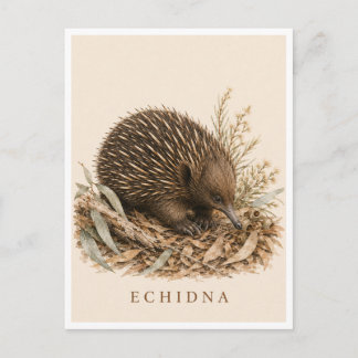 Tarjeta postal de equidna | Edición Bush