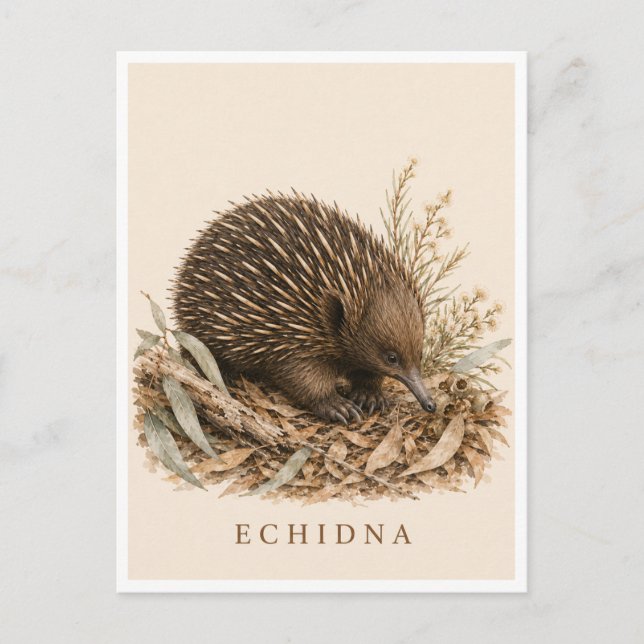 Tarjeta postal de equidna | Edición Bush (Anverso)