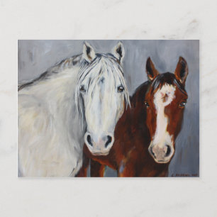 Tarjeta postal de Equine Voices Mystic y Wyatt
