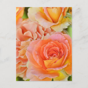 Tarjeta postal de estampado de rosas naranjas