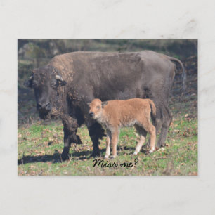 Tarjeta postal de extrañarme