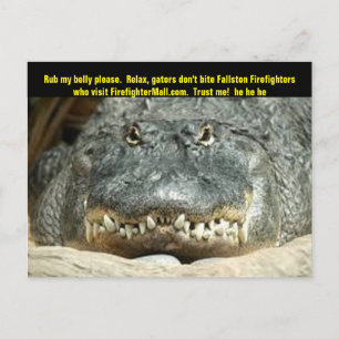 Tarjeta postal de Fallston Firefighter