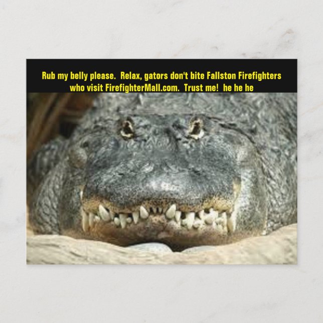 Tarjeta postal de Fallston Firefighter (Anverso)