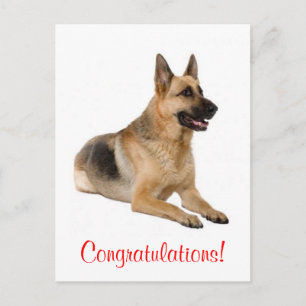 Tarjeta postal de felicitación de cachorro de perr
