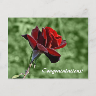 Tarjeta postal de felicitaciones