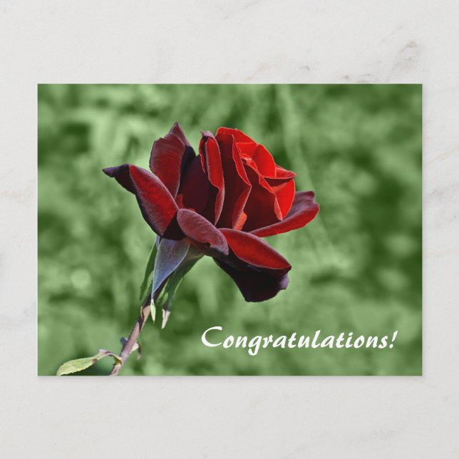 Tarjeta postal de felicitaciones (Anverso)