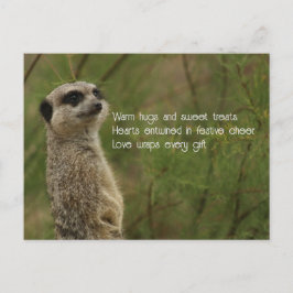 Tarjeta postal de feriado de Meercat Haiku