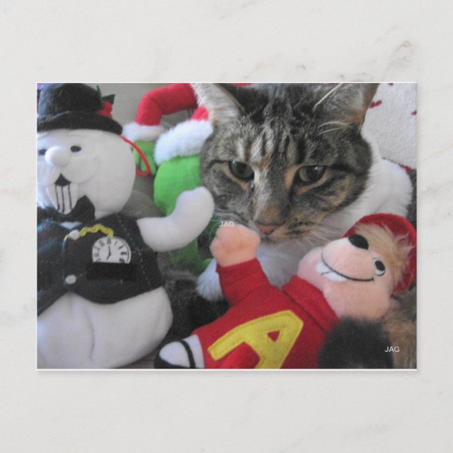Tarjeta postal de festividad para gatos y amigos (Anverso)