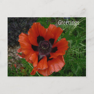 Tarjeta postal de flor