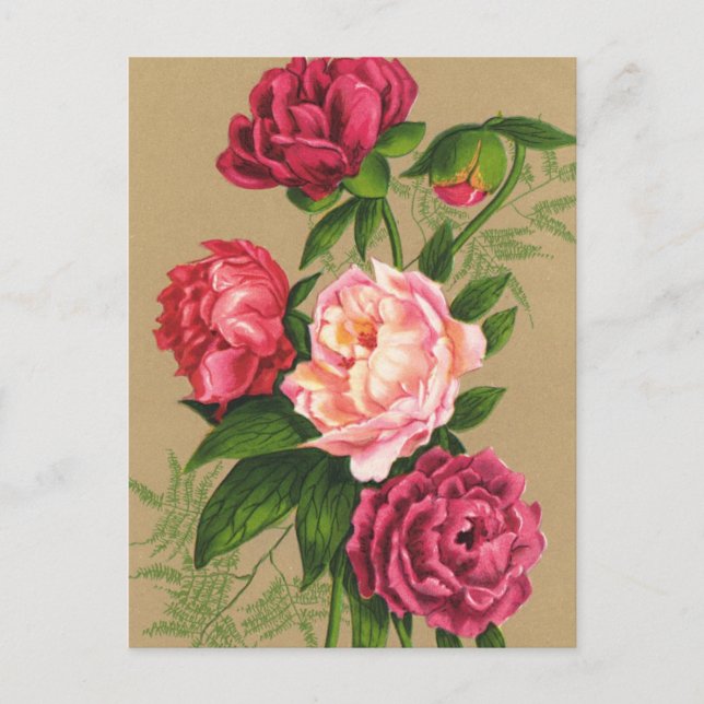 Tarjeta postal de flor (Anverso)