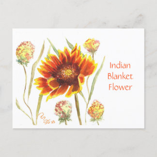 Tarjeta postal de flor blanca india