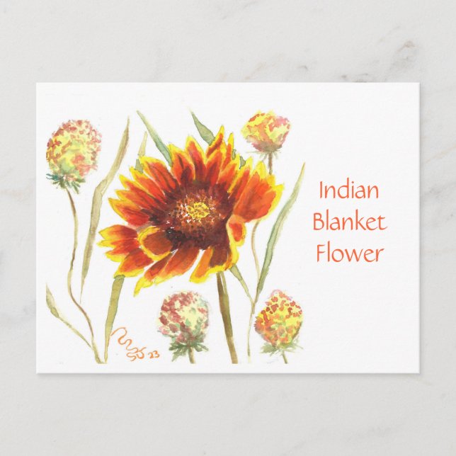 Tarjeta postal de flor blanca india (Anverso)