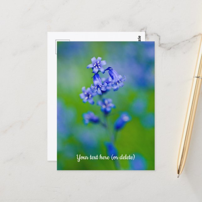Tarjeta postal de flor de campanilla azul (Anverso/Reverso In Situ)
