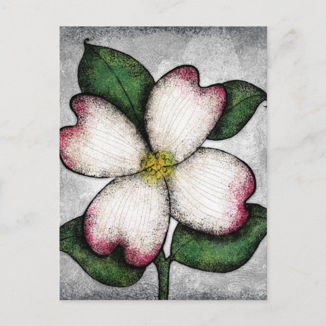 Tarjeta postal de flor de cornejo (Anverso)