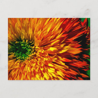 Tarjeta postal de flor de fuegos artificiales