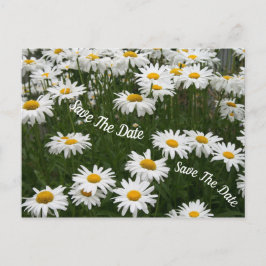 Tarjeta Postal de Flor de Margarita de Verano para