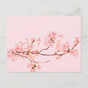 Tarjeta postal de flor de mármol rosa