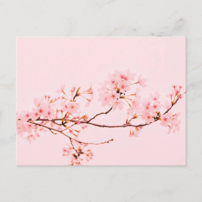 Tarjeta postal de flor de mármol rosa (Anverso)