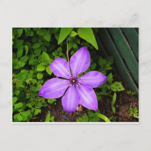 Tarjeta postal de flor púrpura