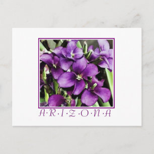 tarjeta postal de flor púrpura de Arizona