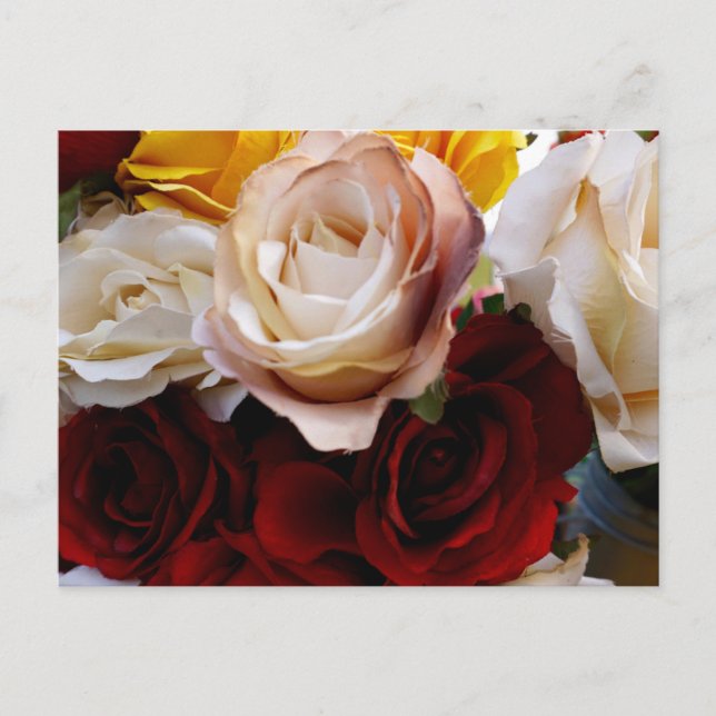 Tarjeta postal de flores de acuarela sencilla (Anverso)
