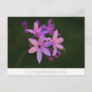 Tarjeta postal de flores de felicitación
