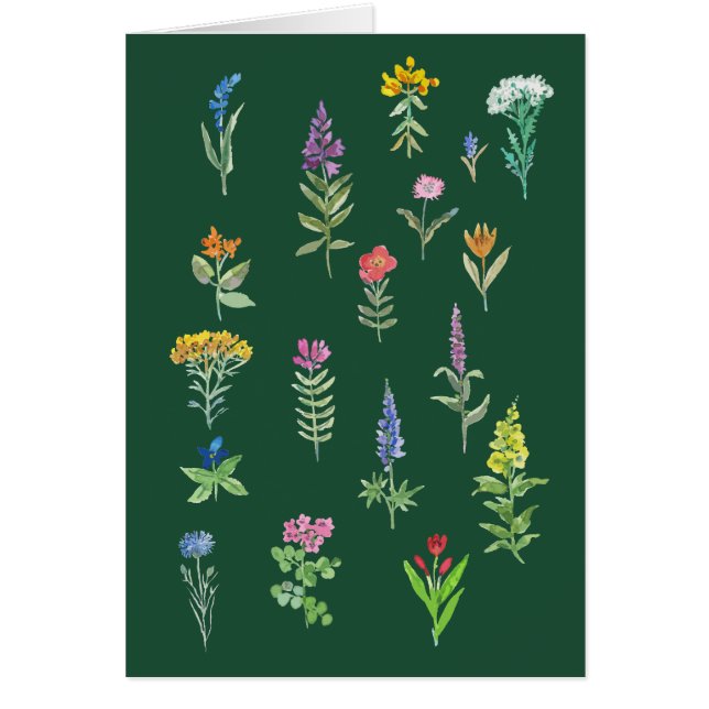 tarjeta postal de flores de jardín  (Frente)