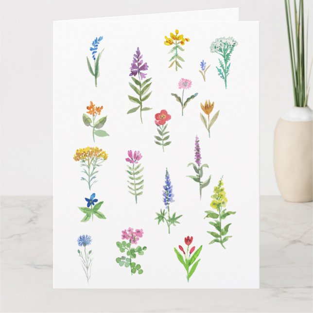 tarjeta postal de flores de jardín  (Anverso)