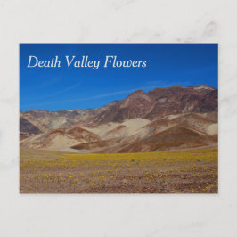 Tarjeta postal de flores del Valle de la Muerte