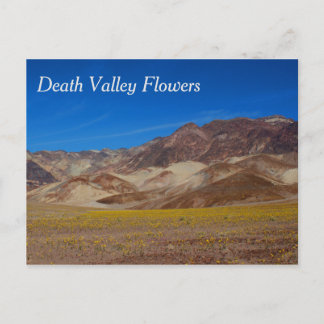Tarjeta postal de flores del Valle de la Muerte