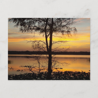 Tarjeta postal de Florida Sunset 138