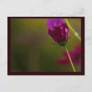 Tarjeta postal de foto de flor