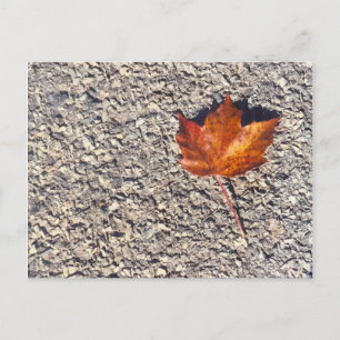 TARJETA POSTAL DE FOTO DE HOJA DE OTOÑO