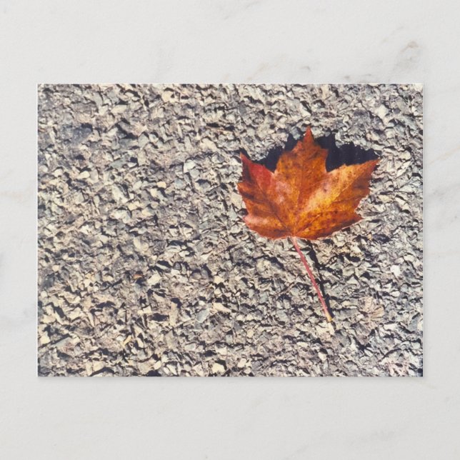 TARJETA POSTAL DE FOTO DE HOJA DE OTOÑO (Anverso)