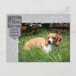 Tarjeta postal de foto de Navidad con pestaña plat