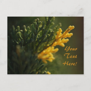 Tarjeta postal de foto de planta amarilla cálida v