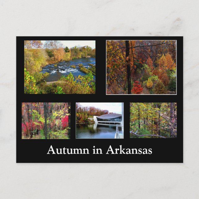 Tarjeta postal de fotografía de otoño en Arkansas (Anverso)