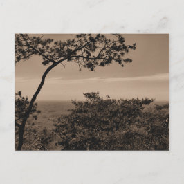 Tarjeta postal de fotografía de paisaje monocromo