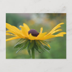 Tarjeta postal de fotografía de Susan Flower bland