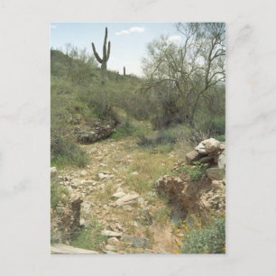 Tarjeta postal de fotografía del desierto de Arizo