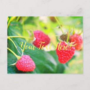 Tarjeta postal de fresas rojas verdes deliciosas
