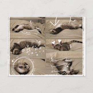 Tarjeta postal de gatito adorable