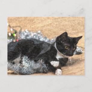 Tarjeta Postal de Gatito de Esmoquin Purpurina y L