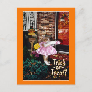 Tarjeta postal de gatito de Halloween Trick-or-Tre