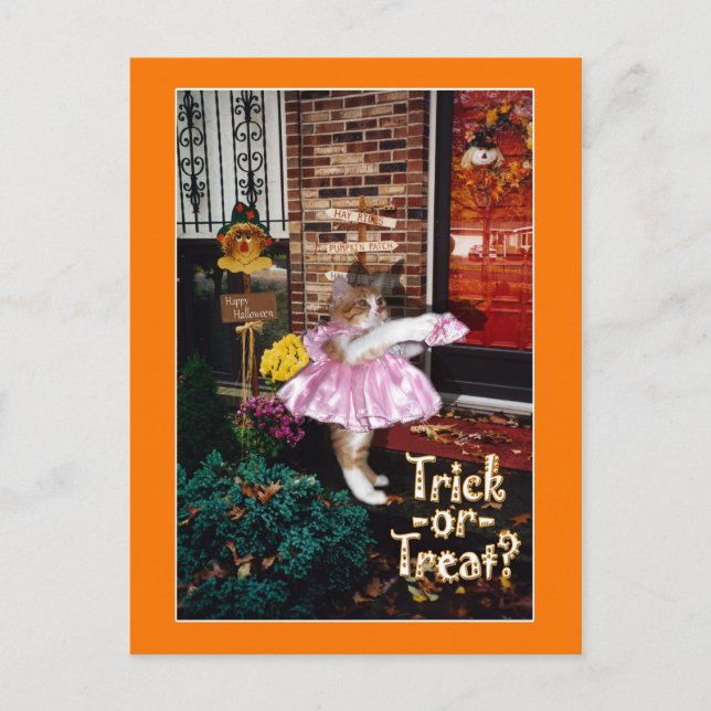 Tarjeta postal de gatito de Halloween Trick-or-Tre (Anverso)