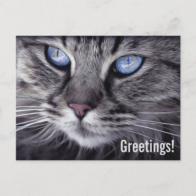 Tarjeta Postal de Gato Adorable Tarjeta Postal (Anverso)