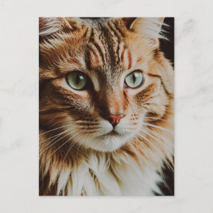 TARJETA POSTAL DE GATO ATIGRADO HERMOSO